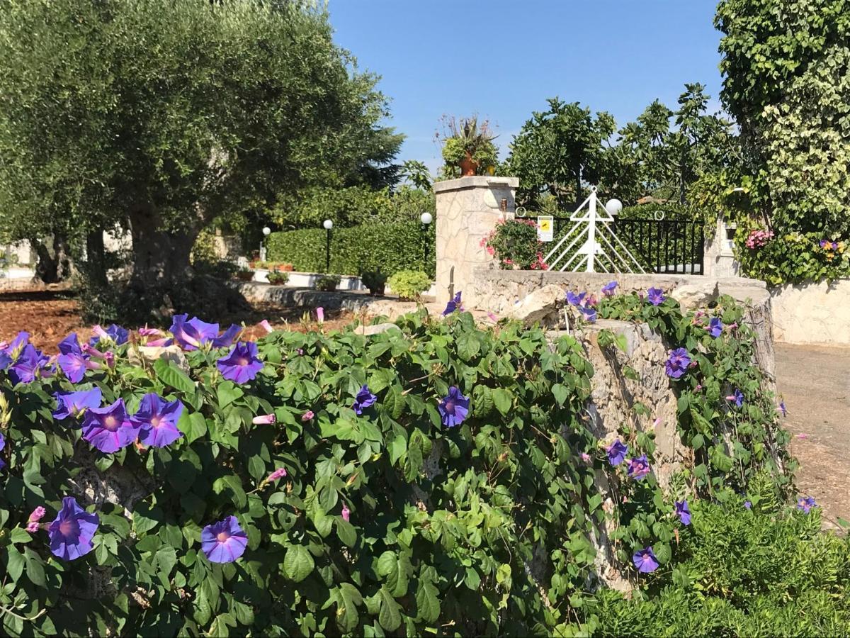 Il Trullo Di Nonno Angelo San Marco Hotel Locorotondo Exterior photo
