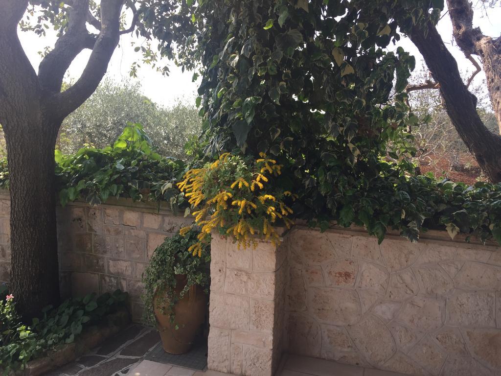 Il Trullo Di Nonno Angelo San Marco Hotel Locorotondo Exterior photo
